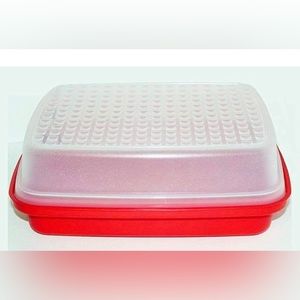 Tupperware meat marinate